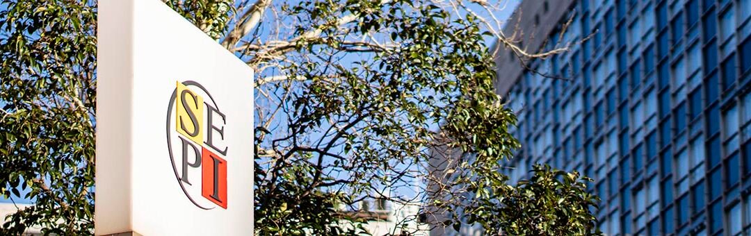 El patrimonio de las sociedades mercantiles públicas